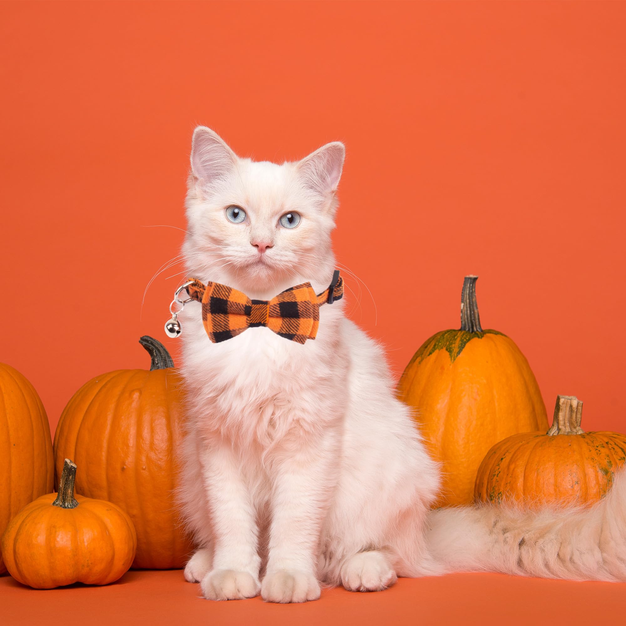 Adoggygo Halloween Cat Collars Breakaway With Removable Bow Tie, 2 Pack Orange Purple Plaid Cat Halloween Bow Collar With Bell For Cats Kittens (Orange&Purple-1)