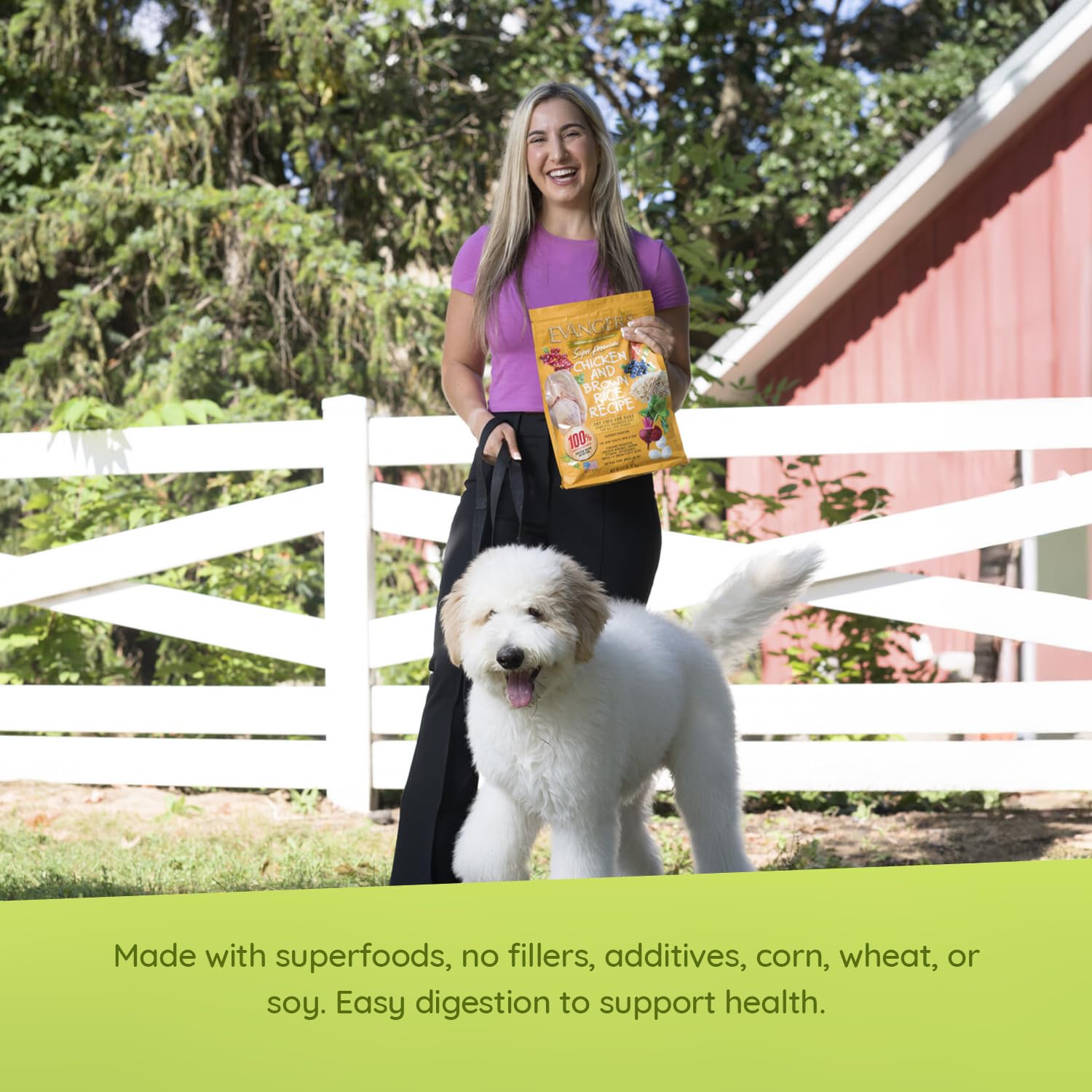 Evangers Grain-Free Chicken with Sweet Potato & Pumpkin Dry Dog Food, 30 lb Bag
