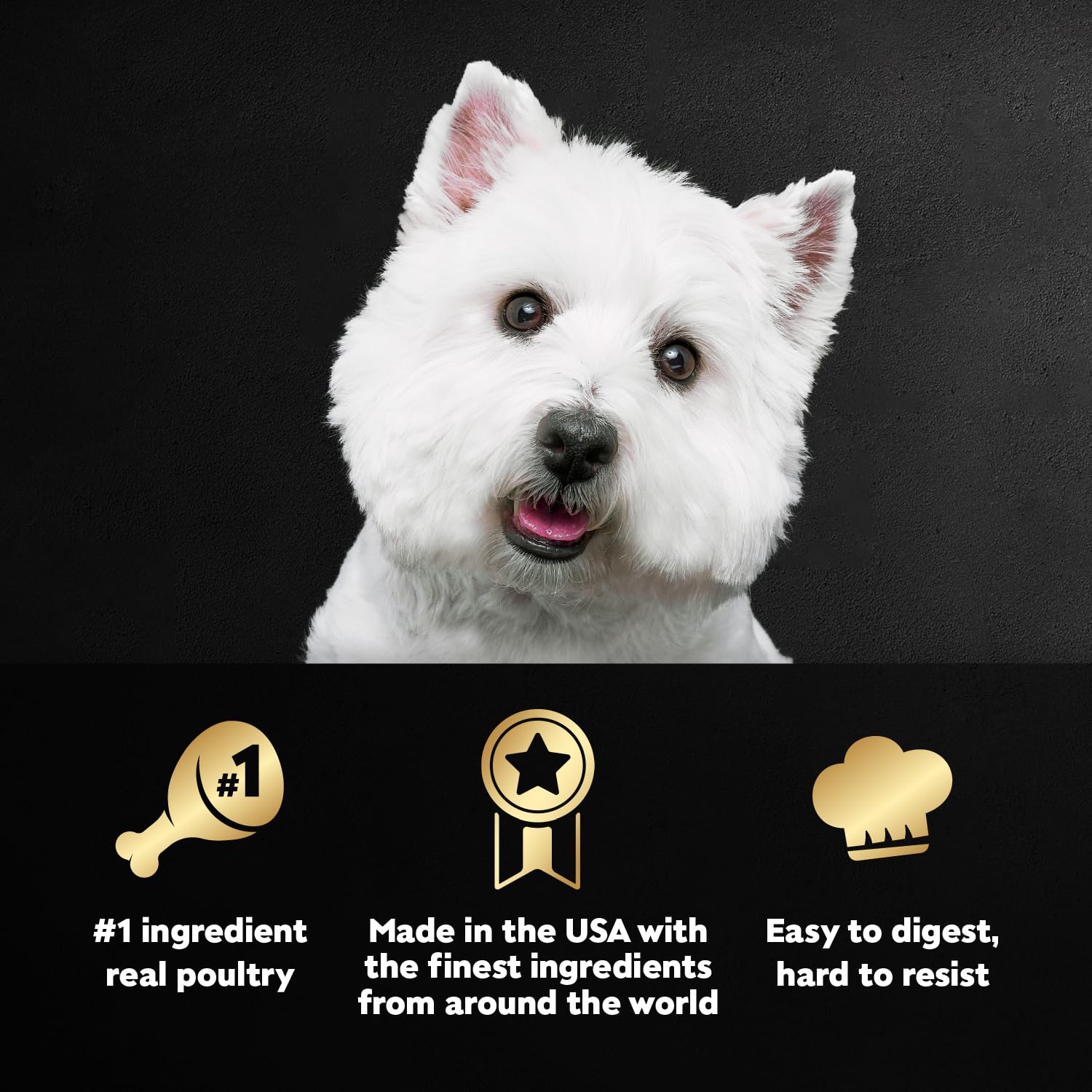 Cesar Wet Dog Food Poultry Lovers Variety Pack with Real Chicken, Turkey and Duck, 3.5 oz. Easy Peel Trays (36 Count, Pack of 1)
