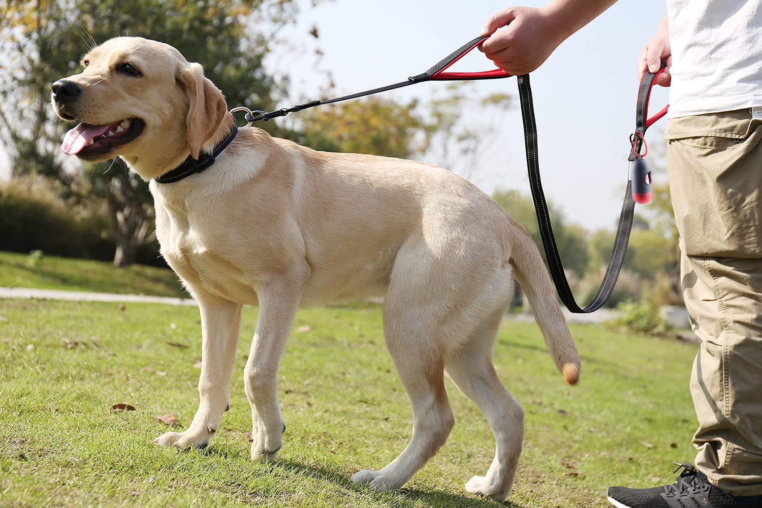 Vivaglory Dog Leash With Two Padded Handles, Heavy Duty 6Ft Reflective Nylon Traffic Leash Training Walking Lead With For Mediun Large Breed Dogs, Orange