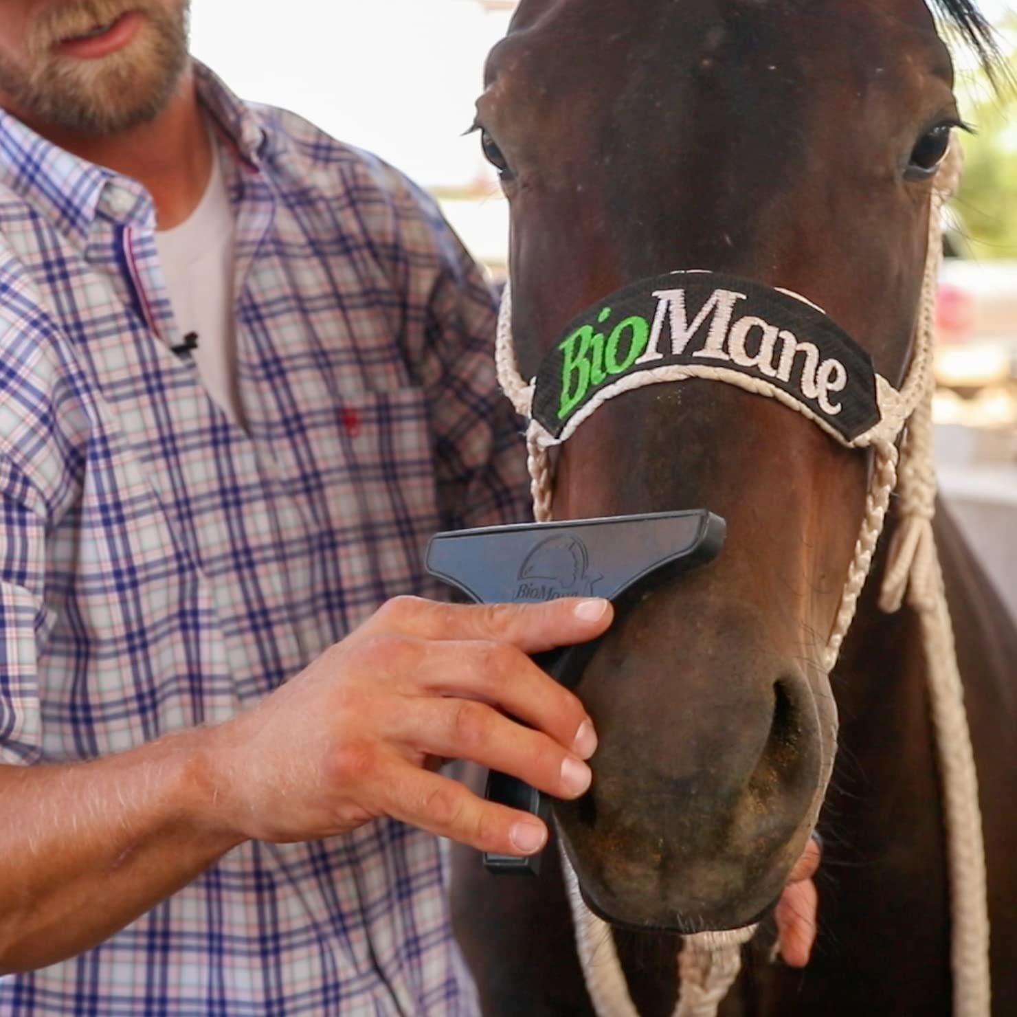 Biomane Grooming Tool