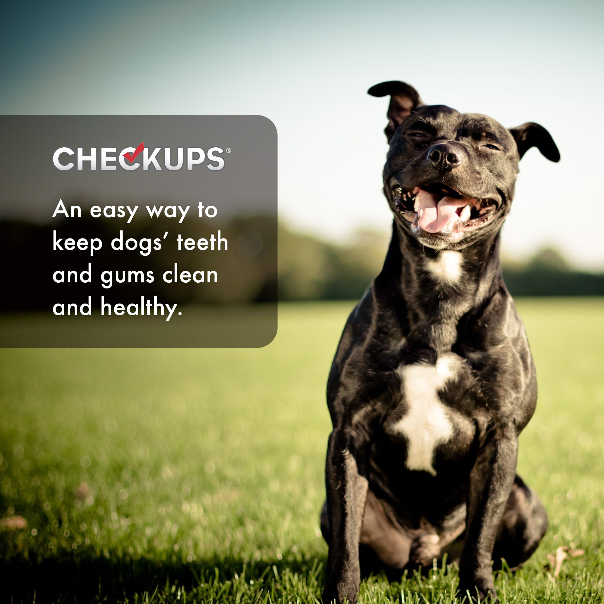 Checkups Dental Dog Treats for Oral Care, Fresh Breath & Plaque Control - 24 Treats, 48 oz. (2 Pack) - Delicious Chews for Happy