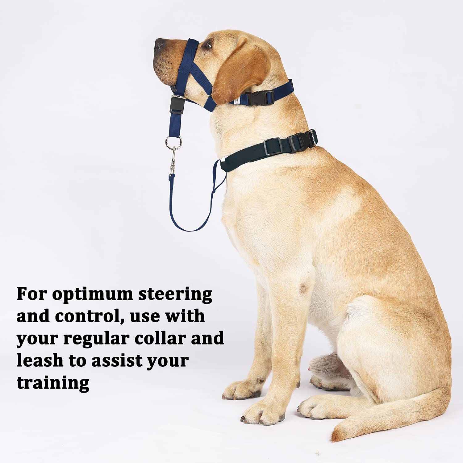 BARKLESS No-Pull Dog Head Collar - Soft Nylon Halter Harness, XL, Navy Blue, Includes Expert Training Guide