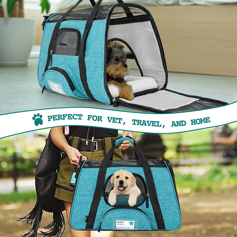 Petami Premium Airline Approved Soft-Sided Pet Travel Carrier  Ideal For Small - Medium Sized Cats Dogs And Pets  Ventilated Com