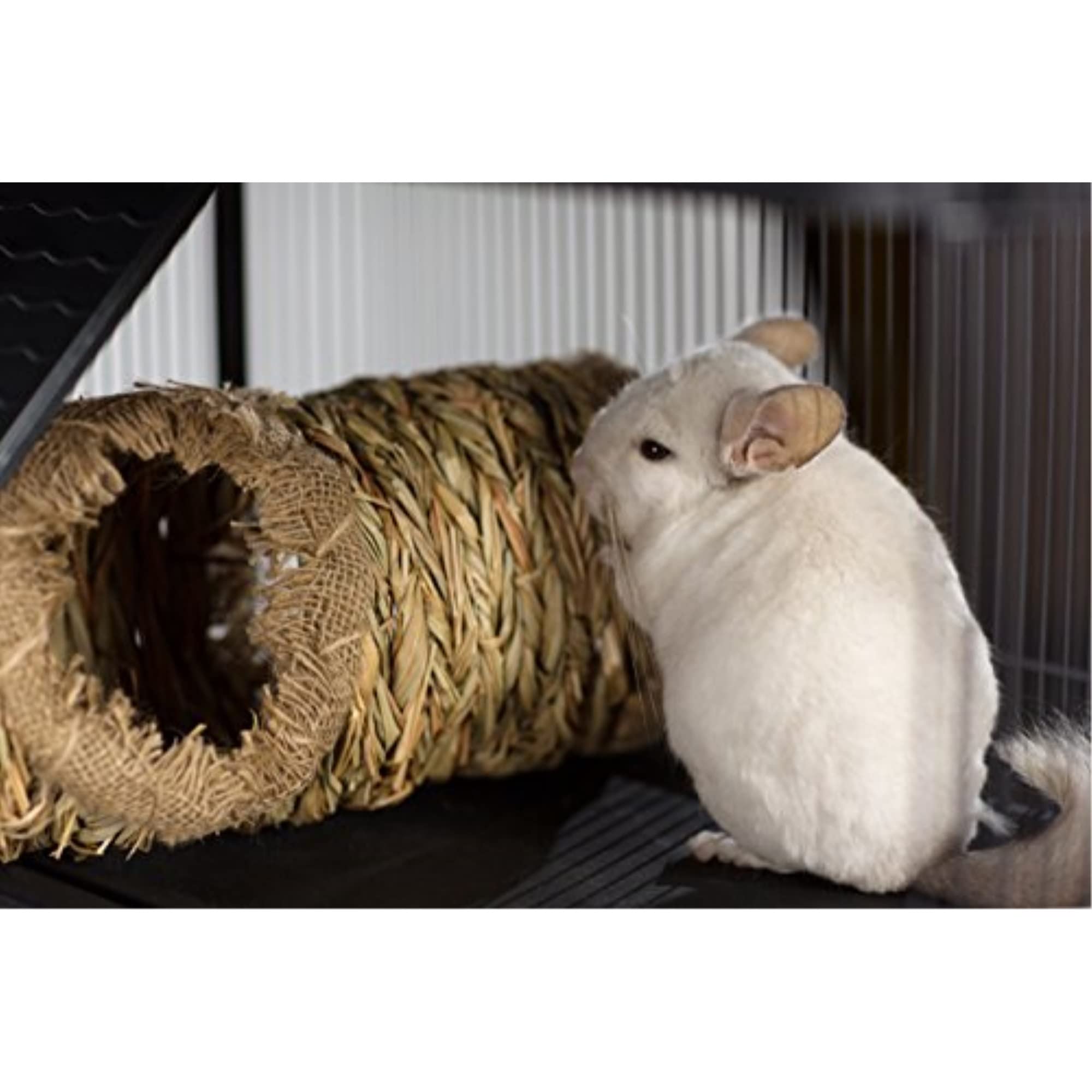 Prevue Hendryx 1098 Natures Hideaway Grass Tunnel Toy, 13.5 x 6