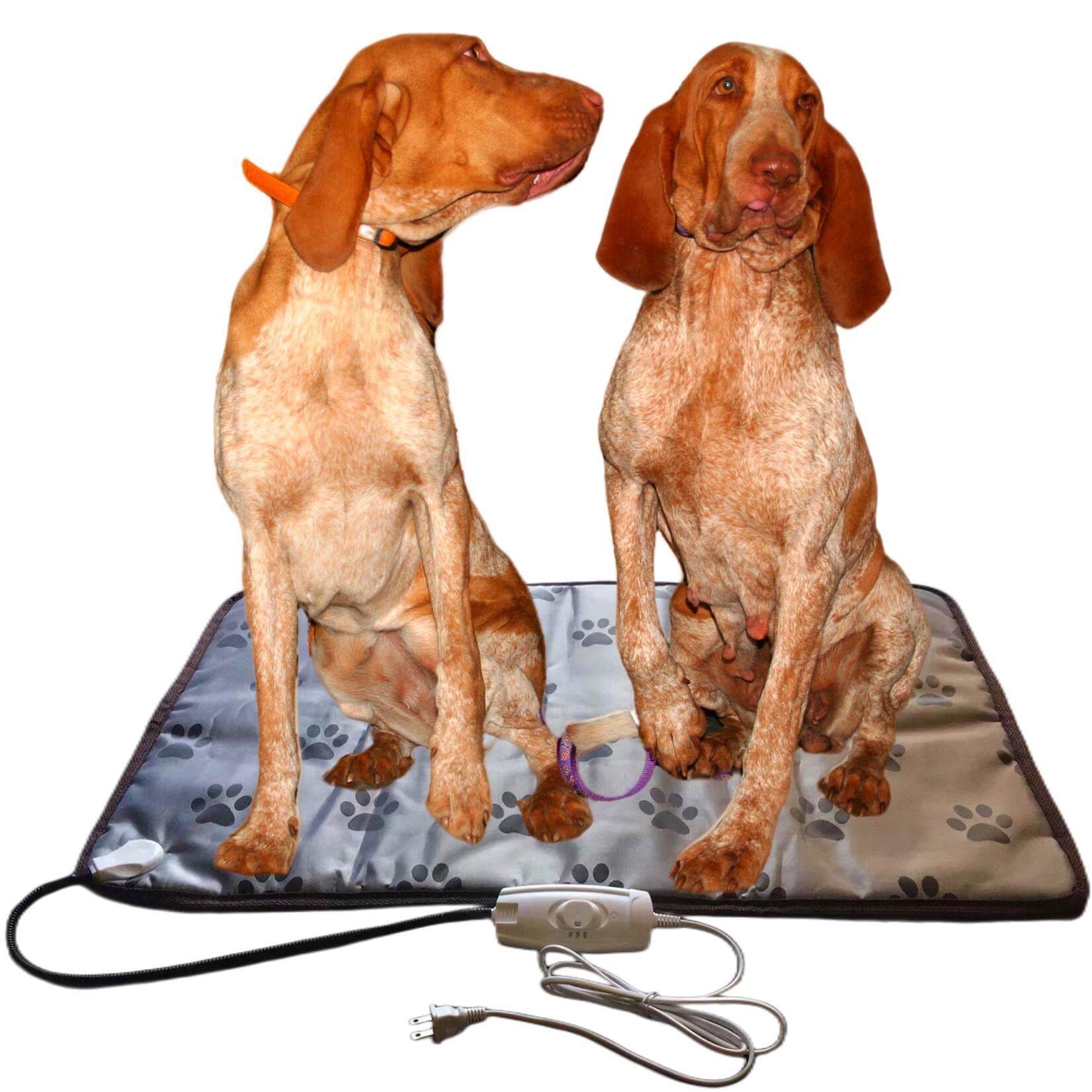 Heated Dog Bed Electric Pet Heating Pad For Small Medium Animal New Born Puppy Puppies Whelping,Ipx2 Waterproof Large Indoor Doghouse (Large, Animal Print)