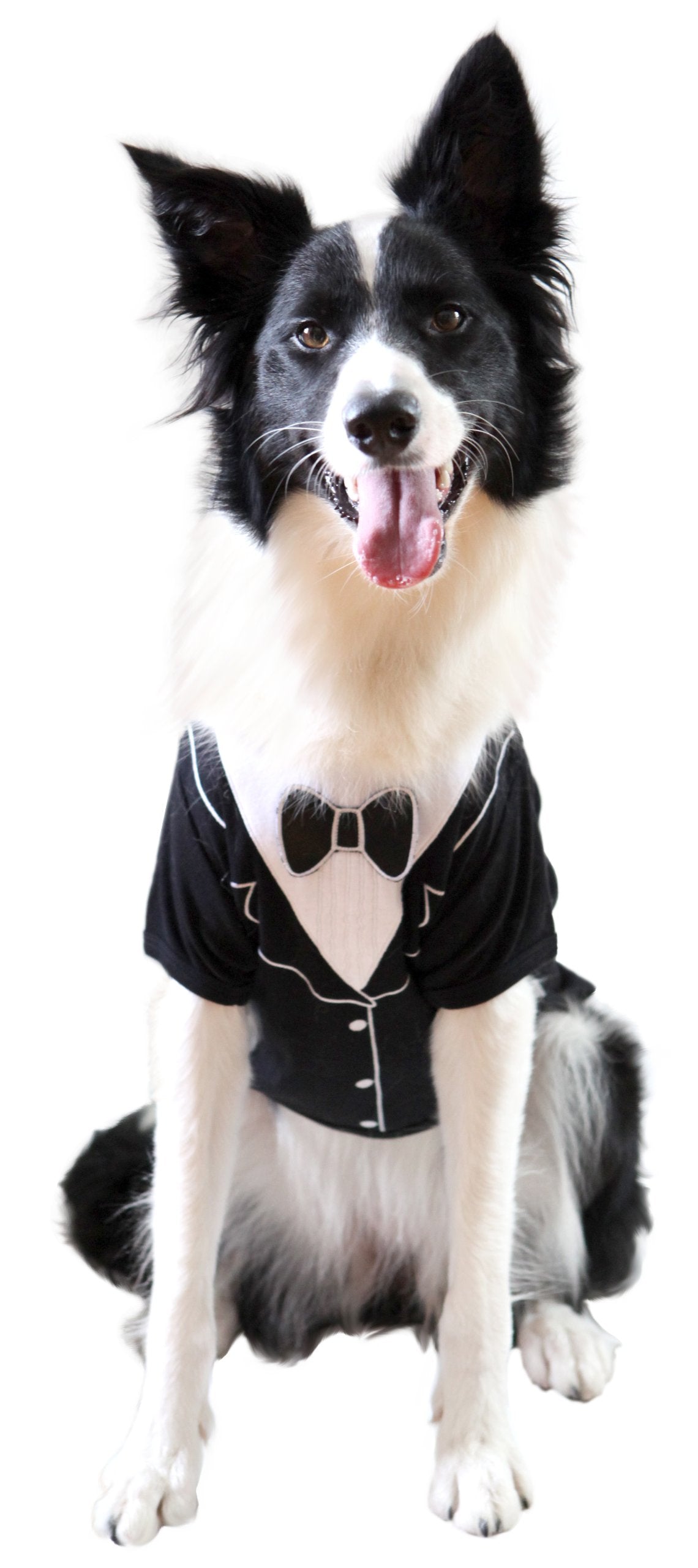 Frenchie Mini Couture Dog Tuxedo, (X-Small)
