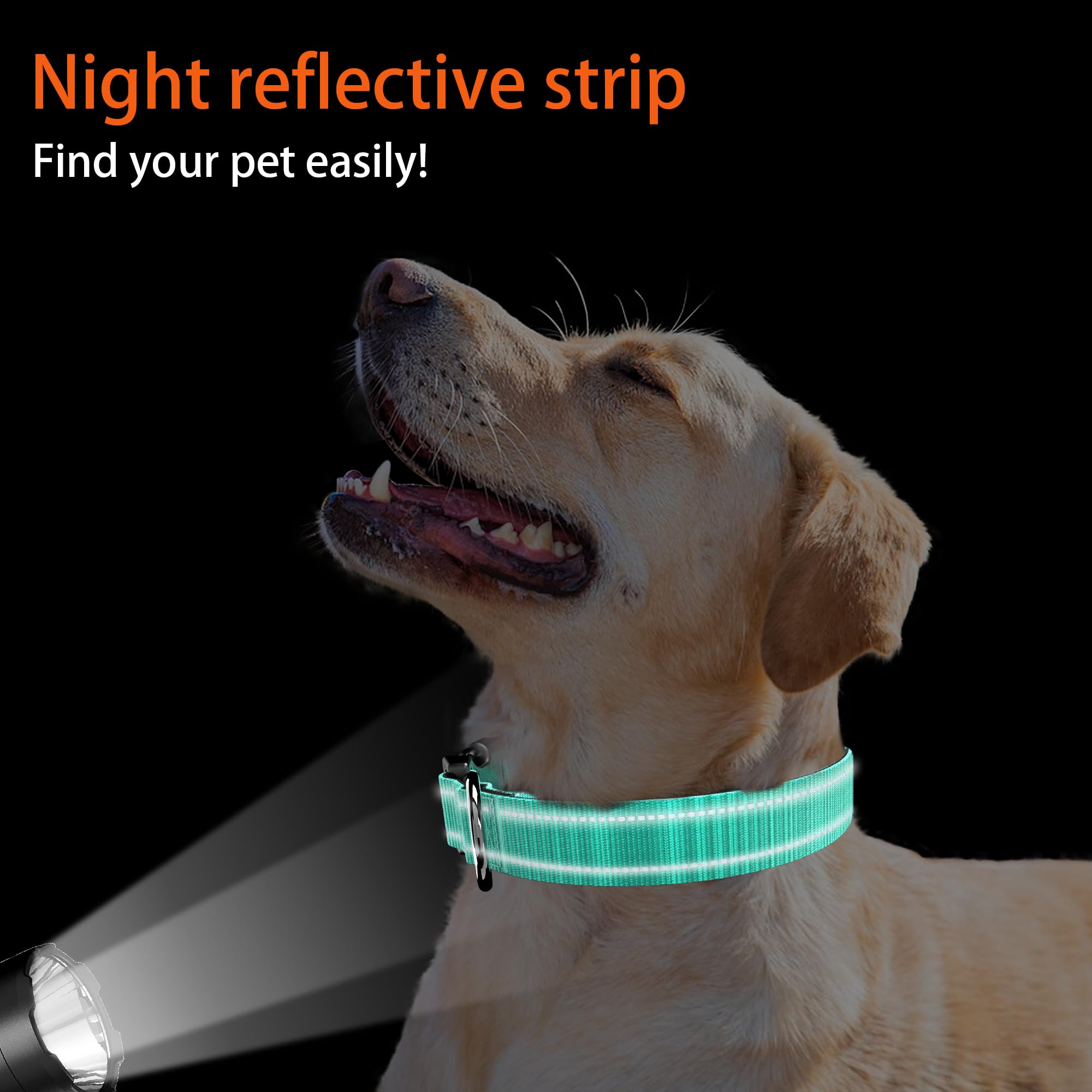 Dog Collar With Qr Code, Reflective Pet Collar, Soft Neoprene Padded & Safety Locking Buckle Adjustable Puppy Collar (Xs,Teal)