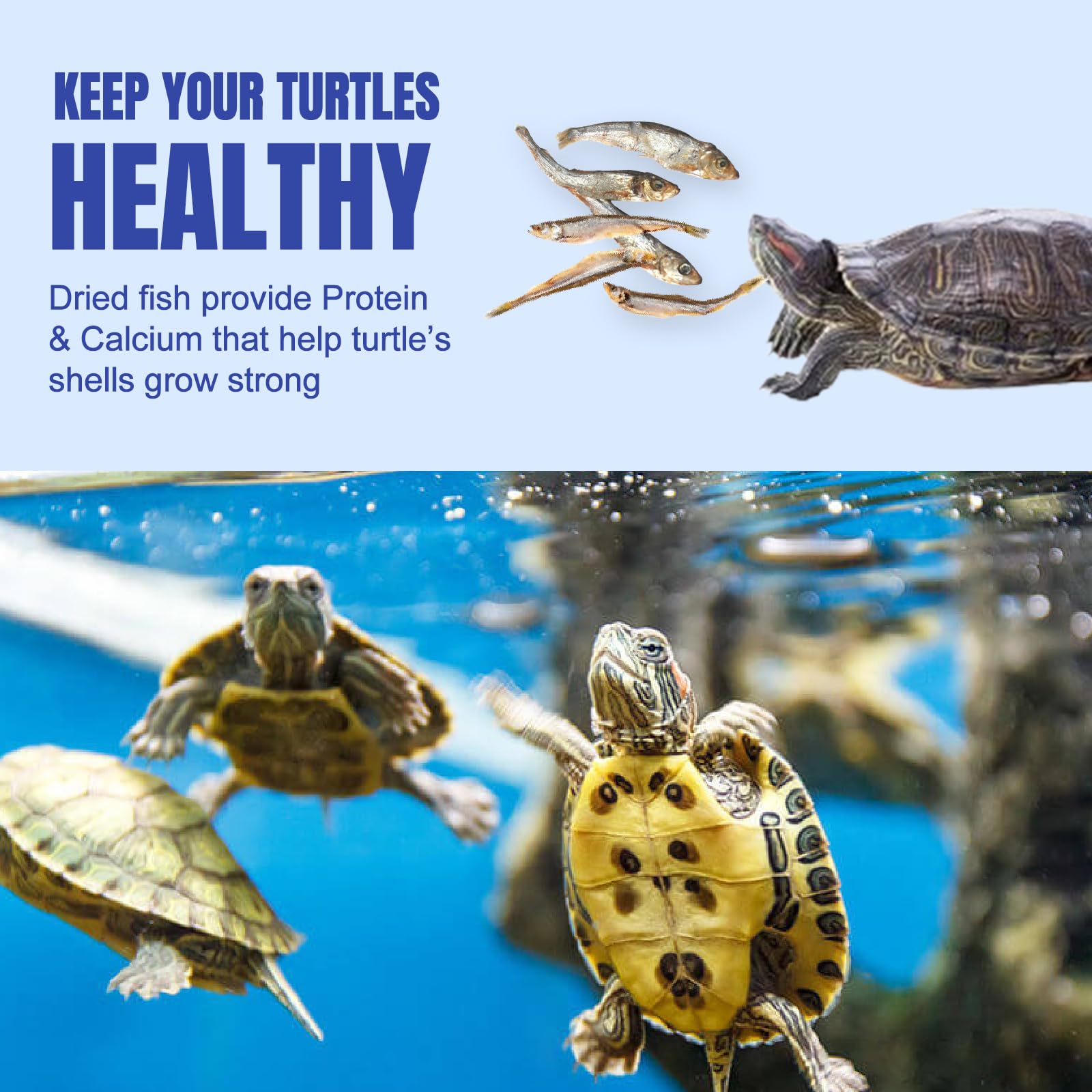 Amzey Dried River Fish 2.3 oz - Natural Food for Turtles, Reptiles & Tropical Fish