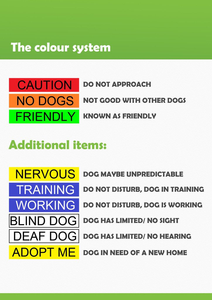 No Dogs (Not Good With Other Dogs) Orange Warning Dog Colour Coded Padded Personalised 1.2M 4Ft Lead Leash To Prevent Accidents Or Incidents. Dog Award Winning