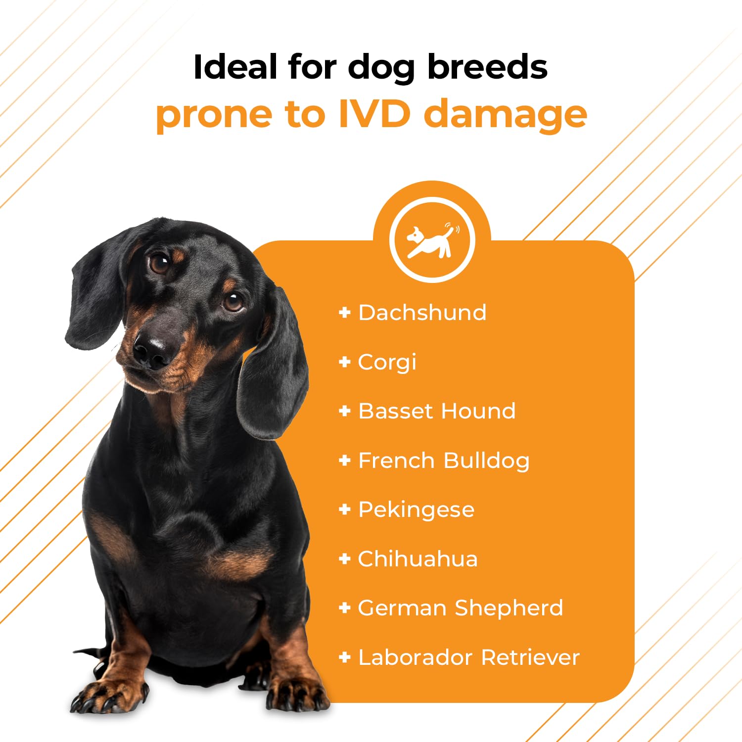 VETRISCIENCE Healthy Spine & Disc Capsules, Chondroitin & Taurine Supplement for Dogs, 180 Count, Perfect for Dachshunds & Frenchies