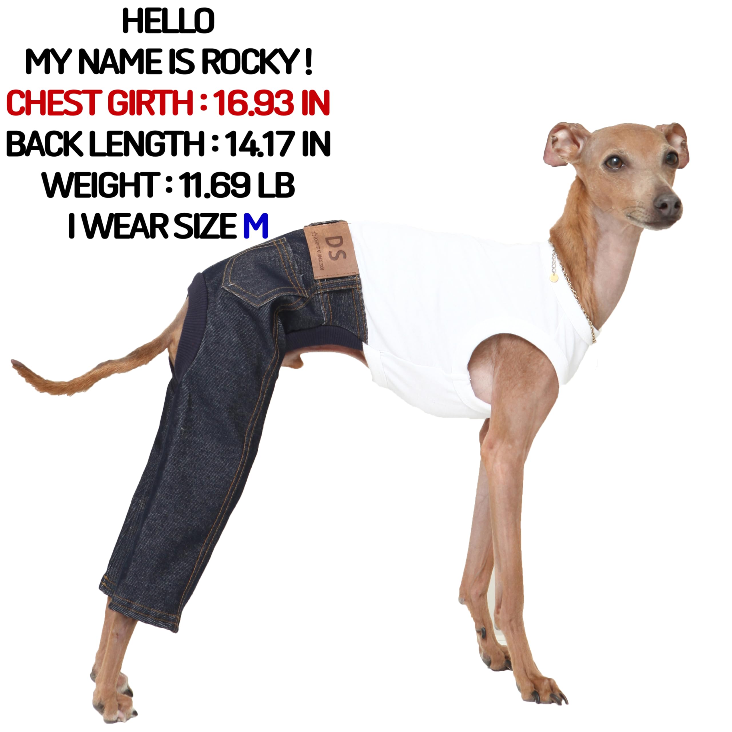 D DOGGY STAR Sleeveless Jeans Onesie Outfit for Italian Greyhound, M, Blue Jean, Cotton/Denim