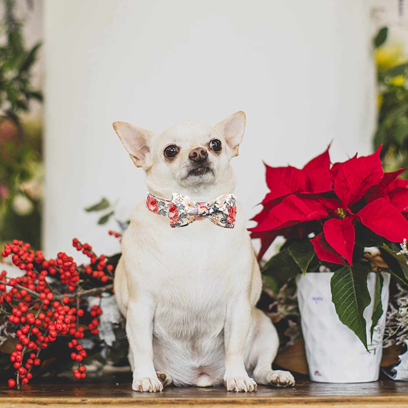 Elegant Little Tail Vintage Floral Dog Collar With Bow, Comfotable Dog Bowtie, Dog Collar Bow Adjustable Dog Collars For Small M