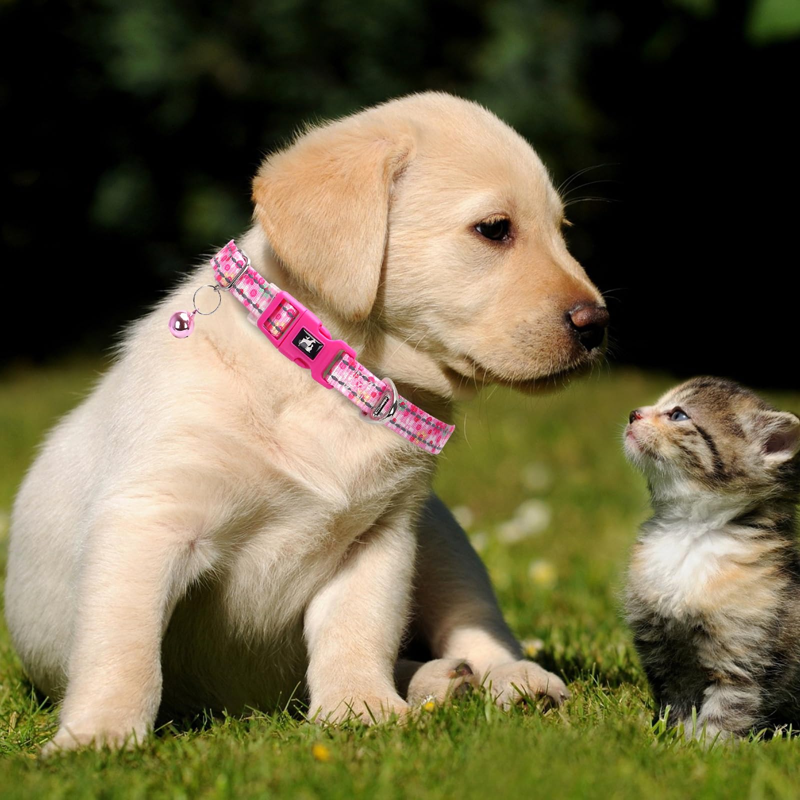 Pink Puppy Collar With Bell - Reflective Adjustable Nylon Kitten-Safe Collar For Small Dogs & Cats, Soft Flower Pattern Design F