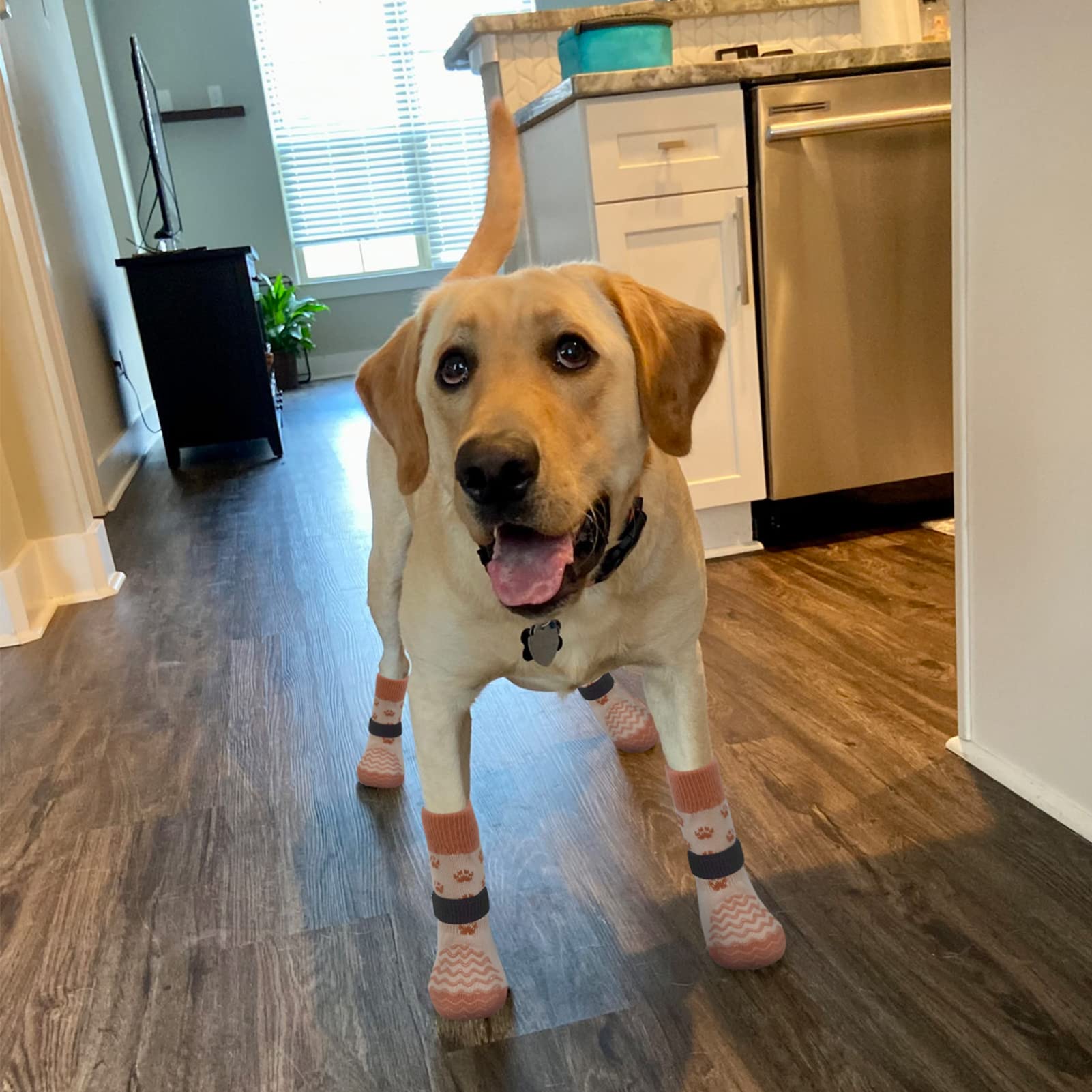 EXPAWLORER Anti-Slip Dog Socks - Medium Brown Paw Protectors for Hot/Cold Pavement, Prevents Licking & Slipping