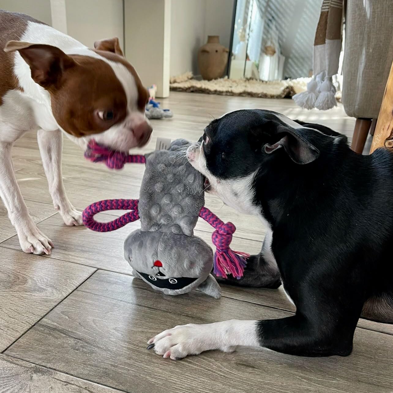 Rocket & Rex No Stuffing Dog Toy | Unstuffed Dog Toys Set With Squeakers | Includes A Stuffing Free Rope Toy, Rubber Squeaker Toy And Plush Toy | For Small To Medium Breeds | Dog Stocking Stuffer