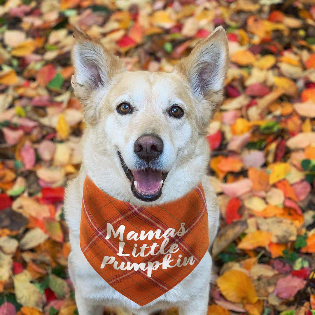 Thanksgiving Dog Bandana,Fall Bandanas For Puppy Cat Small Large Dogs