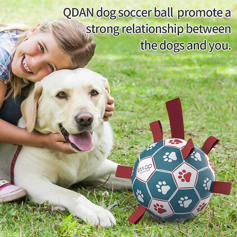 Qdan Dog Toys Soccer Ball, Interactive Dog Toys For Tug Of War, Dog Tug Toy, Dog Water Toy, Durable Dog Balls For Small & Medium