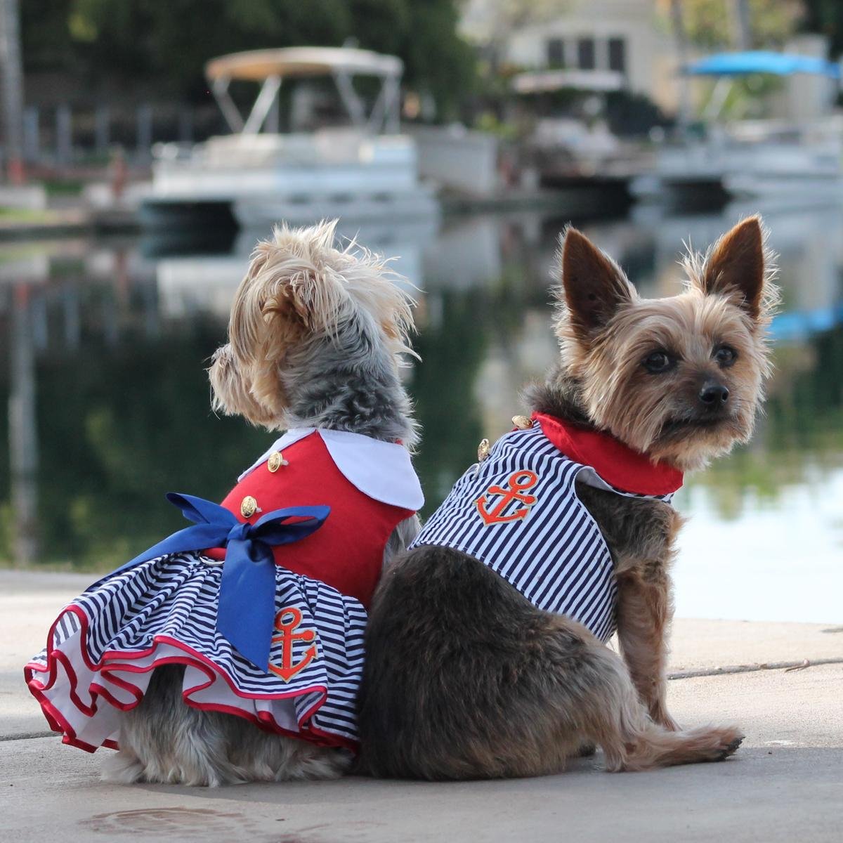Doggie Design Sailor Girl Dress With Matching Leash Dd 70888 Xsmall