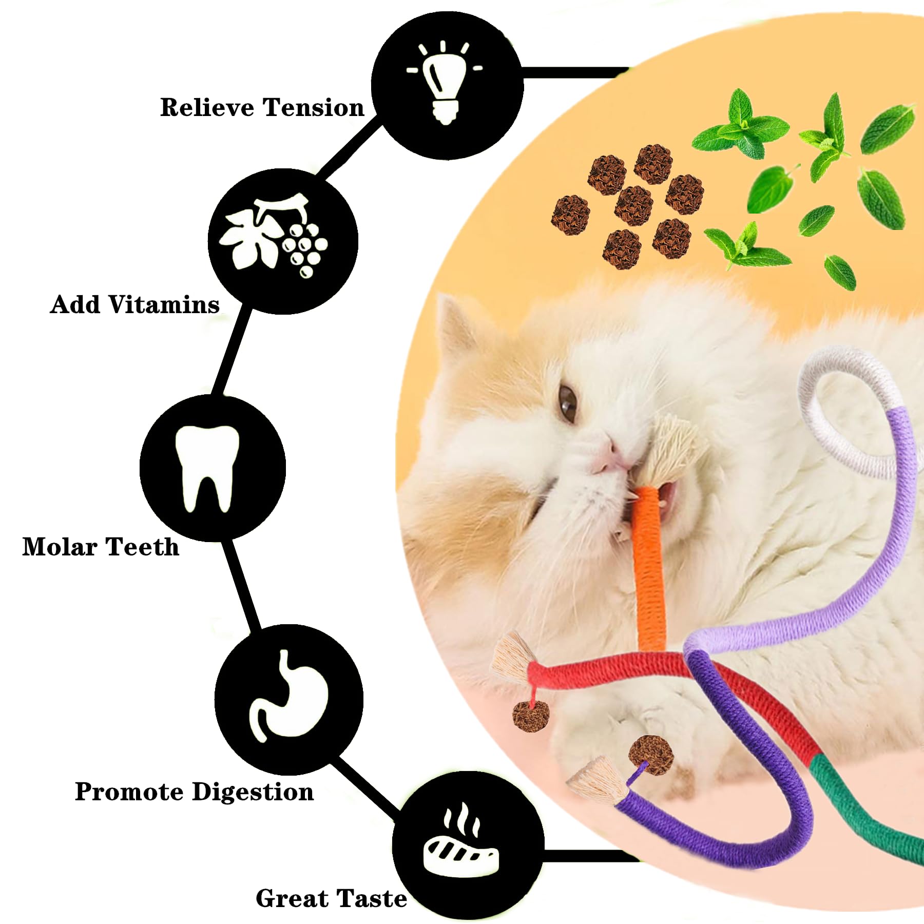 GREMBEB Cat Toys 5Pcs Extended Catnip Toys for Indoor Kitten Kitten Silvervine Chew Molar Scratch Interactive Cotton Rope Cleani