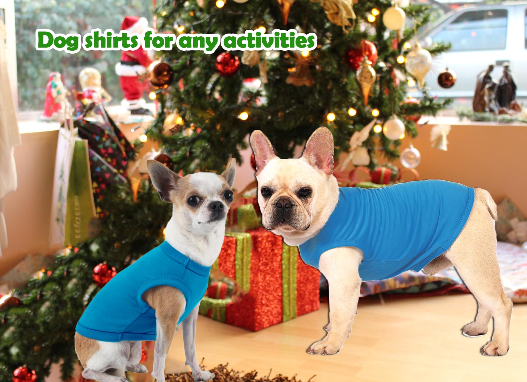 Sychien Dog Blank Blue Shirt,Boy Girl Dogs Medium Tee Shirts,Plain French Bulldog T-Shirt,M Blue Royal