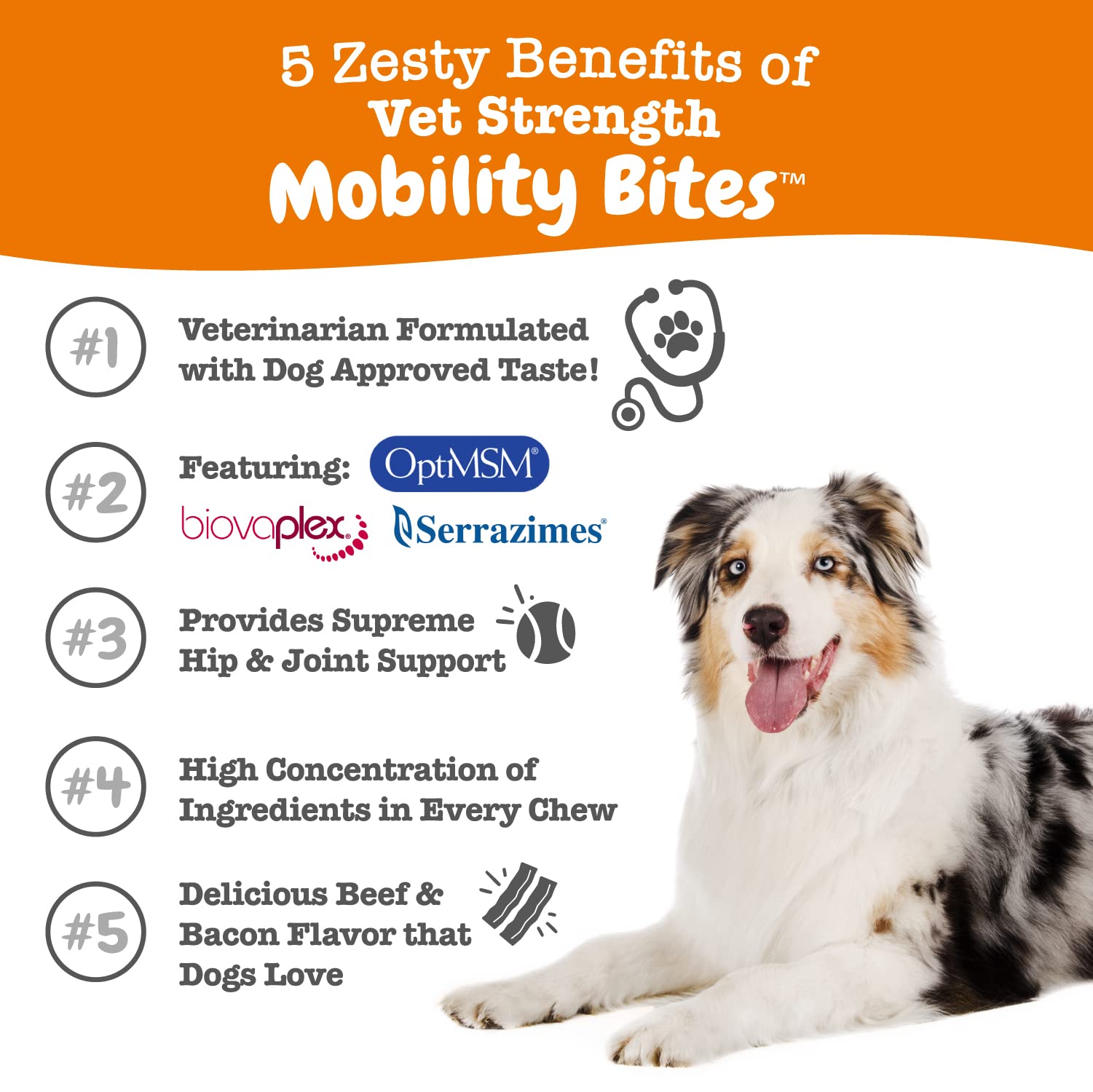 Zesty Paws Mobility Bites Dog Joint Supplement - Hip and Joint Chews for Dogs - Pet Products with Glucosamine, Chondroitin, & MS