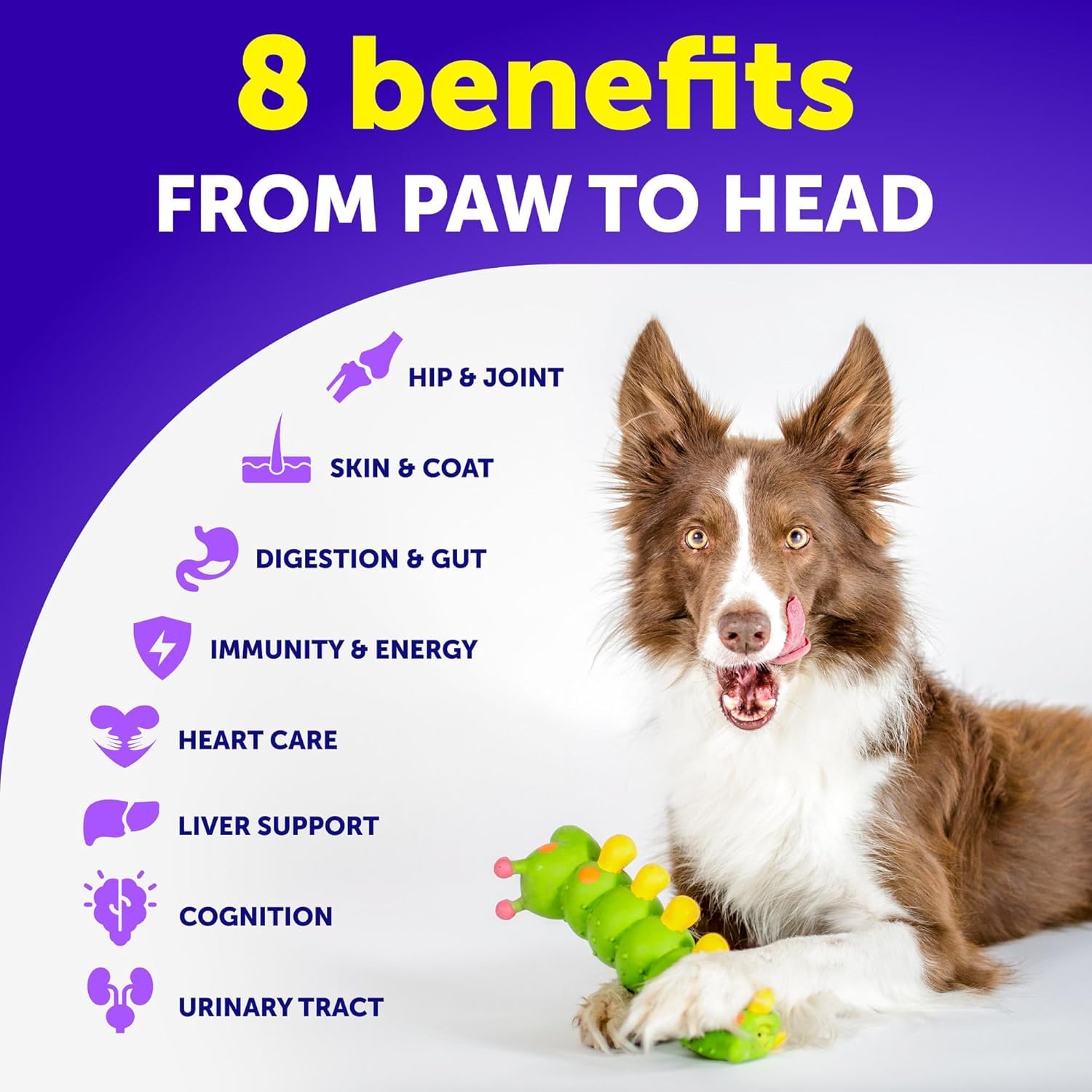 Artullano Dog Multivitamin Chews 26 in 1 for Senior & Puppy - Joint Support, Immunity, Mobility - 120 Chews, Multivitamin