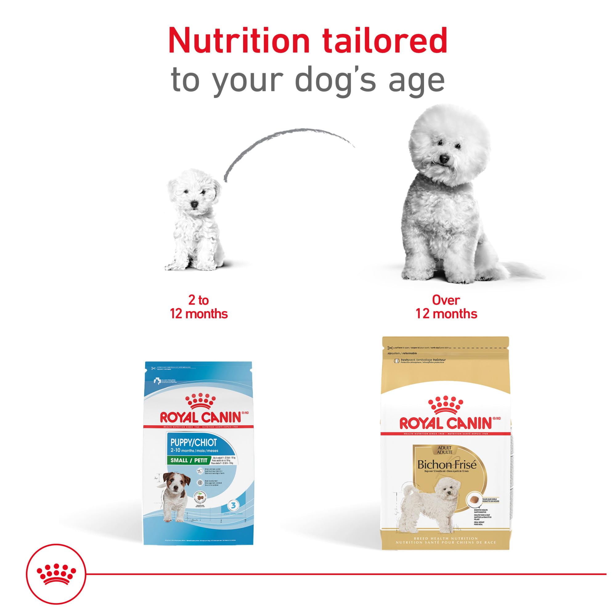 Royal Canin Bichon Frise Adult Dry Dog Food, 10 lb bag