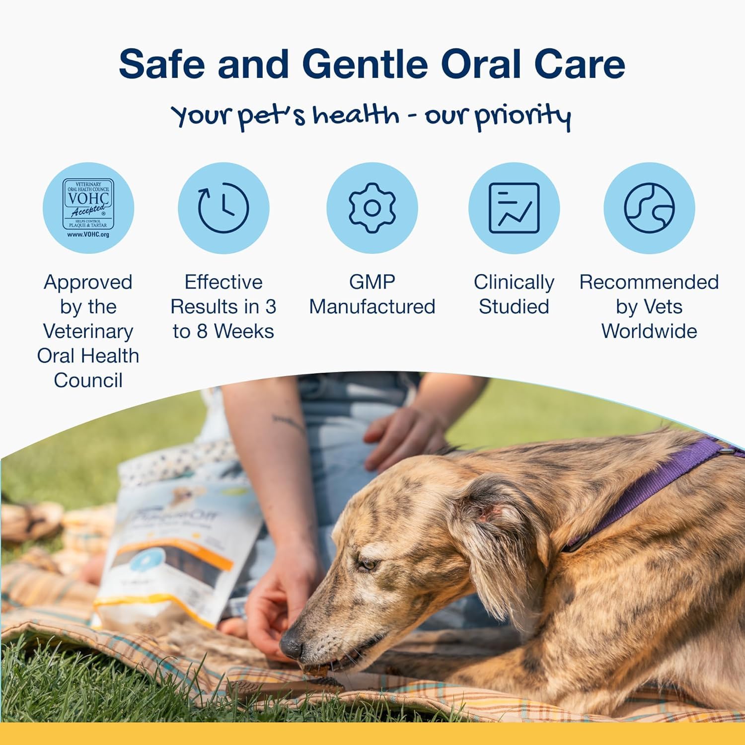 ProDen PlaqueOff System Dental Care Bones - Dog Teeth Cleaning Bones for Oral Hygiene -Medium/Large Canine Formula - Bacon Flavo