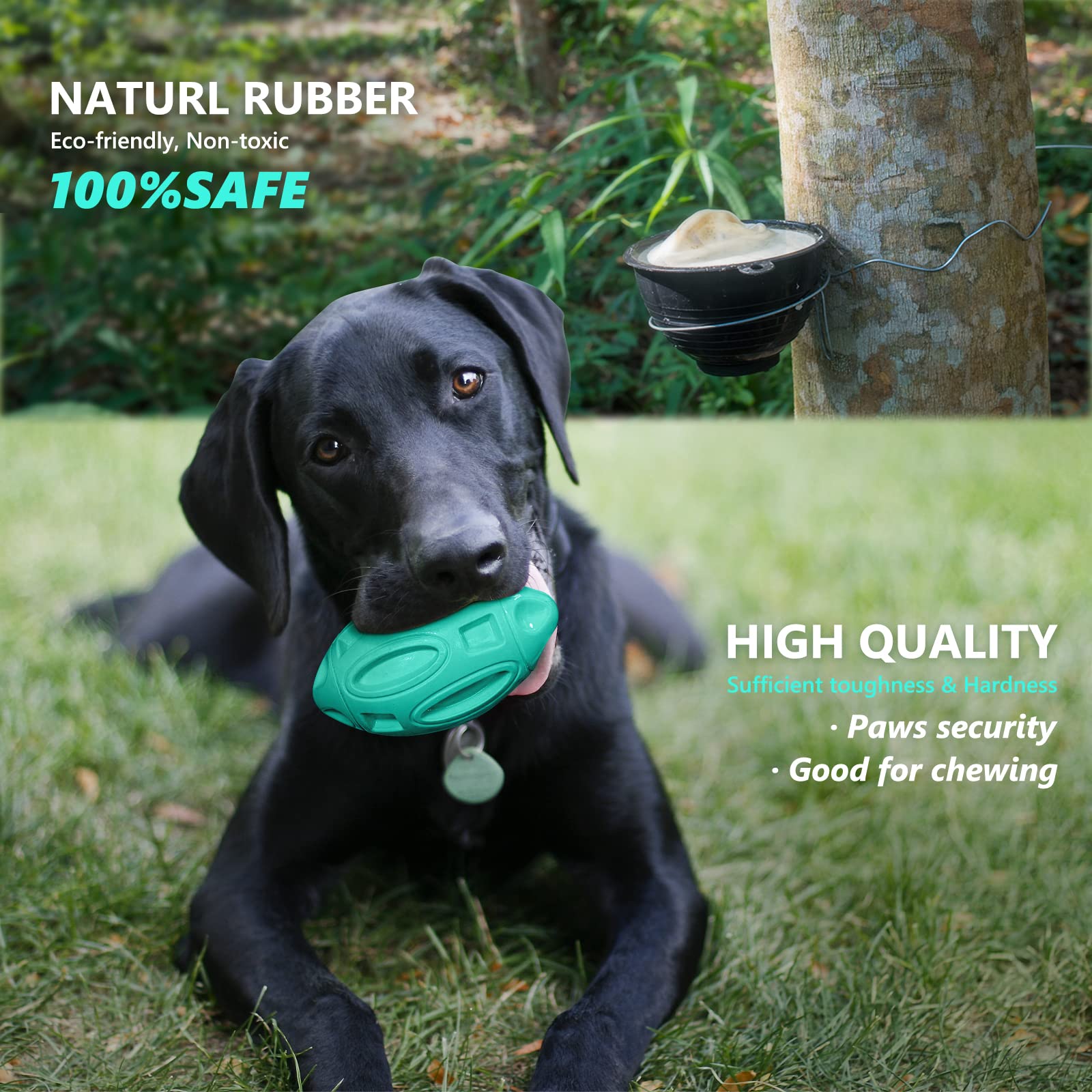 Eastblue Squeaky Dog Toys For Aggressive Chewers: Rubber Interactive Puppy Ball With Squeaker,Almost Indestructible Tough Durabl
