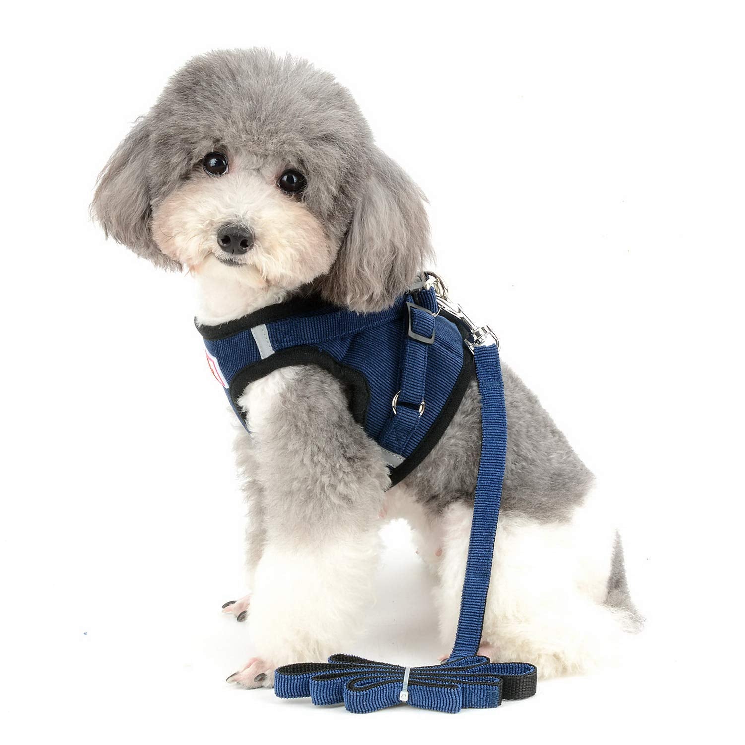 Zunea Small Dog Harness and Leash Set No Pull Adjustable Reflective Step-in Puppy Boy Girl Vest Harnesses Soft Corduroy Mesh Pad