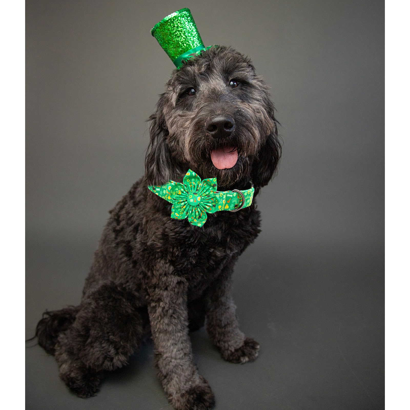 Lionheart Glory St. Patrick'S Day Collar With Flower Bows For X-Large Dogs, Green Lucky Clover Shamrock Collar