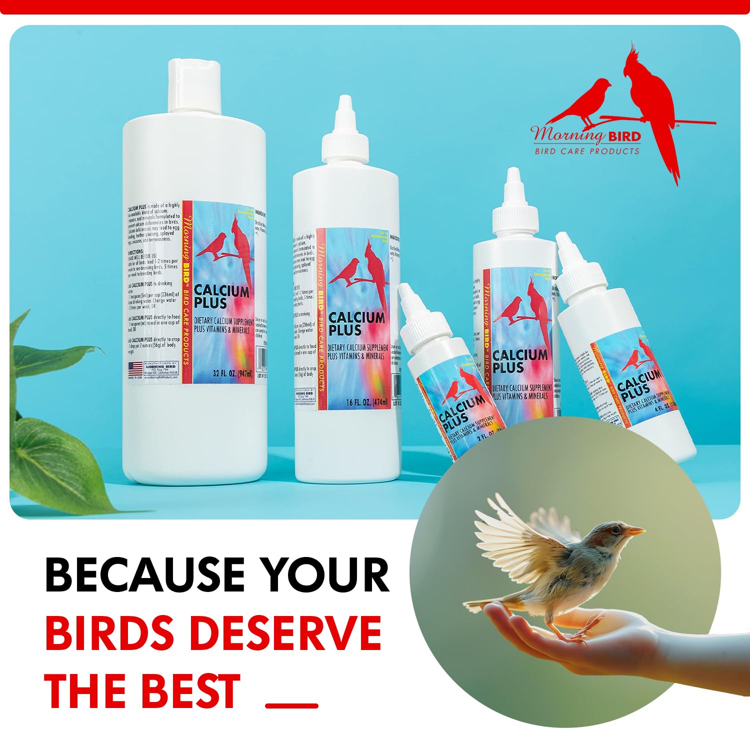 Morning Bird Calcium Plus Liquid for Birds - 8 Fl Oz, Supports Eggshell Strength and Healthy Growth, Model MB046