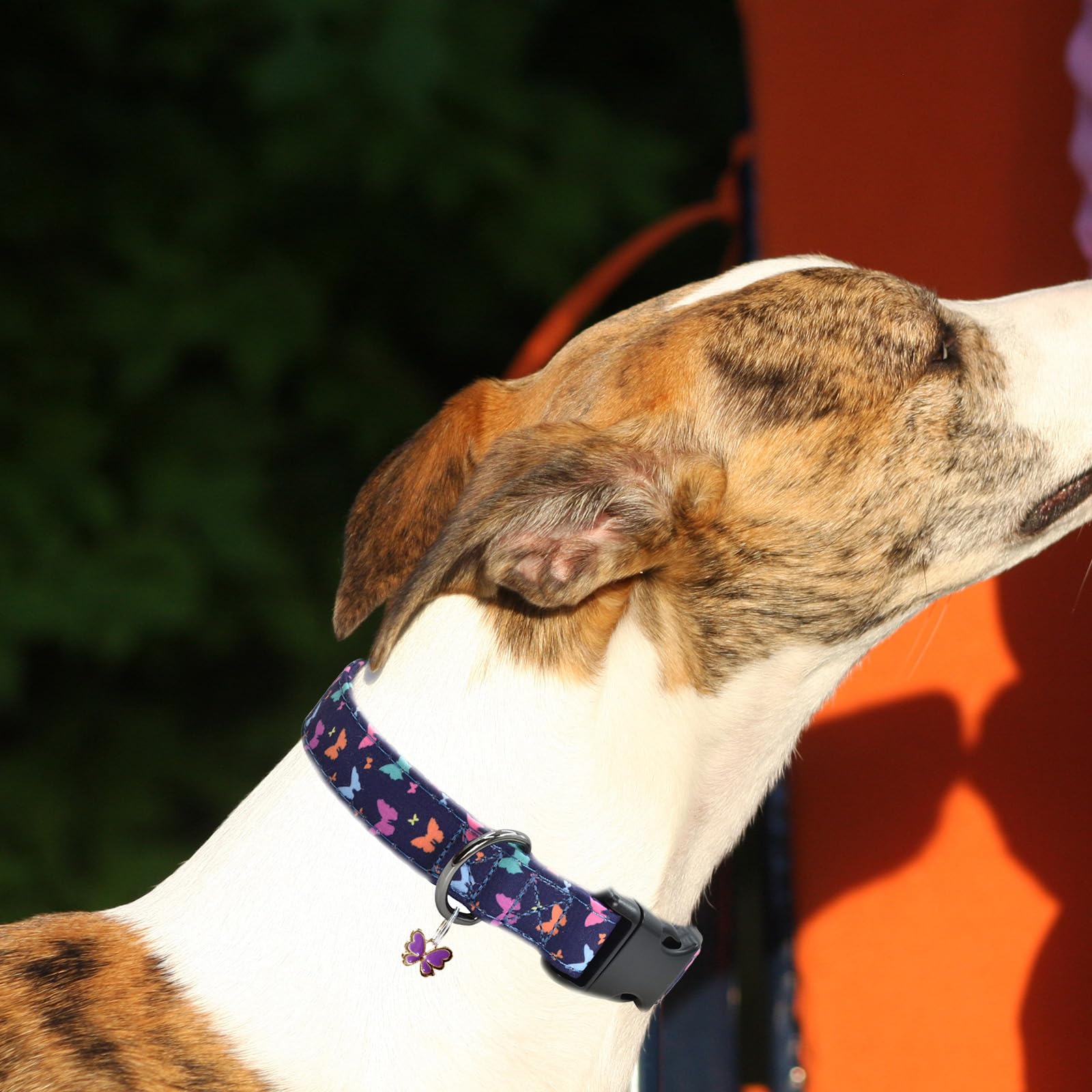 Flower Patterns Dog Collar With Accessories, Soft Cotton Dog Collars For Small Medium Large Female And Male Dogs(Butterfly2 S)