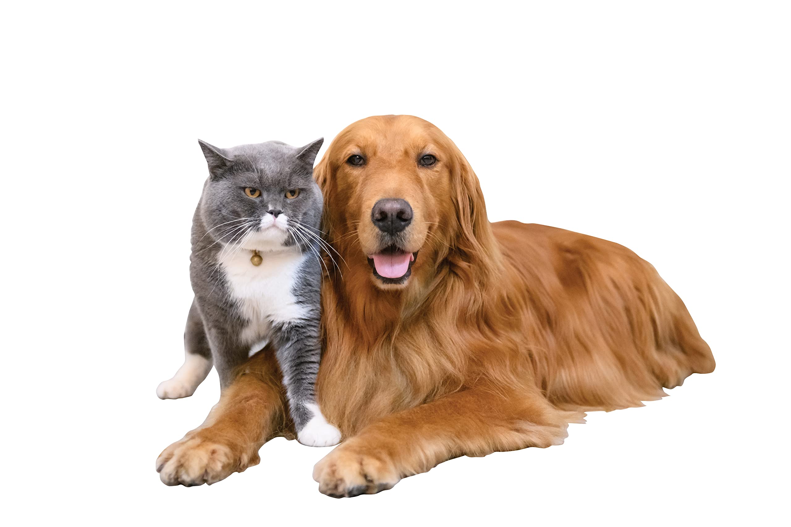 Fur Shark - Multi-Edge Pet Hair Remover