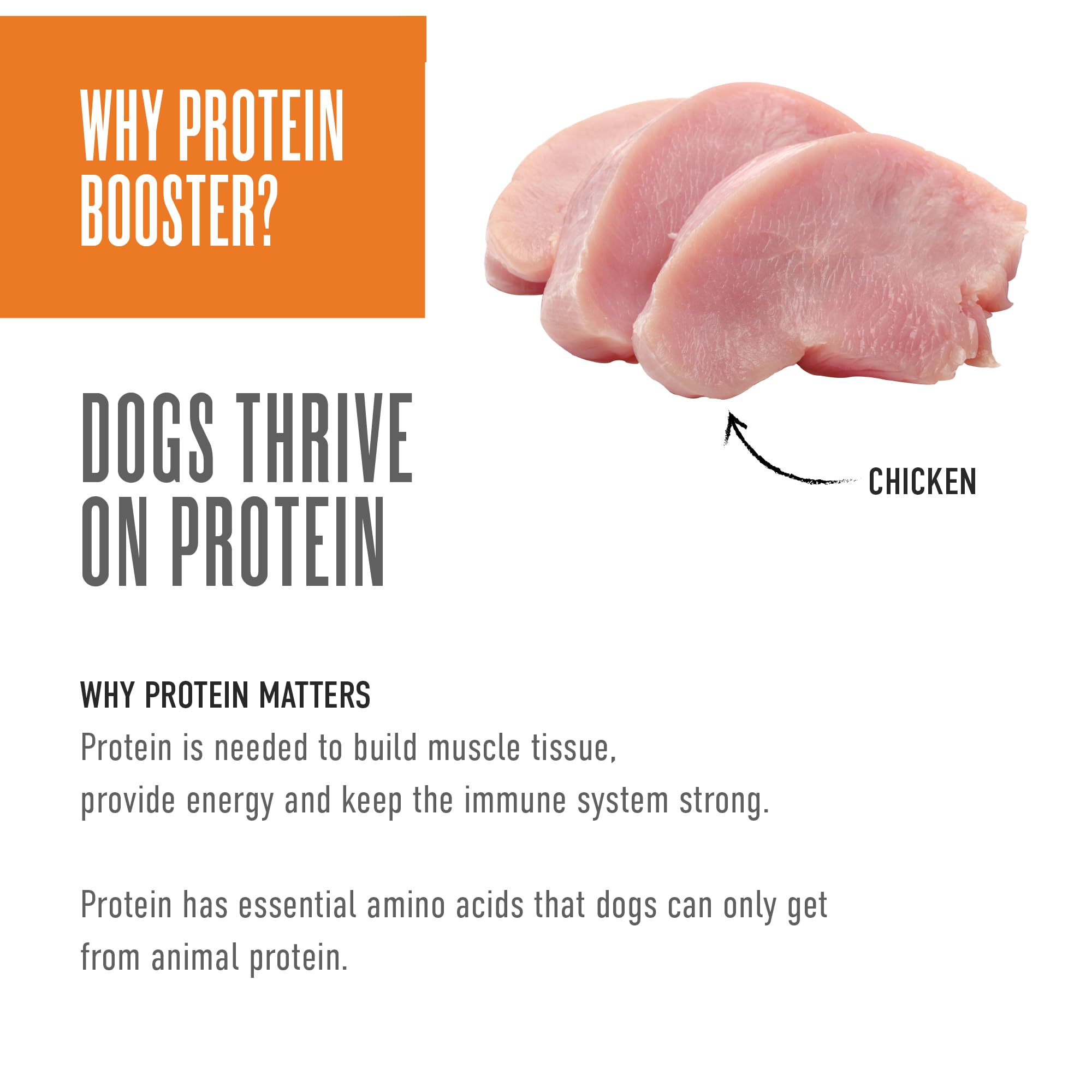 Tiki Dog Born Carnivore Protein Booster Dog Food Topper, Chicken Recipe in Broth, 2.1 oz. Pouch (12 Count)