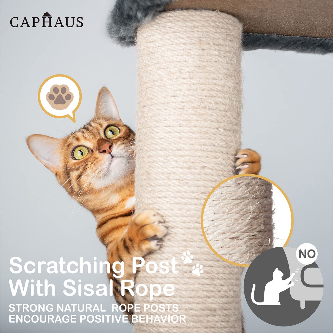 CAPHAUS Tall Cat Tree - 70-Inch Modern Play Tower in Smoky Grey with Scratching Posts, Hammock, Cat Cave Condo, Model CH PHFC-BH672001