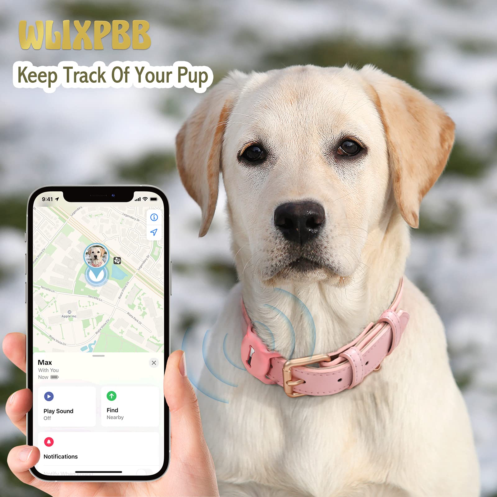 Wlixpbb Airtag Leather Dog Collar For Small Medium Large Dog Adjustable Soft Padded Air Tag Puppy Collar Heavy Duty Metal Buckle