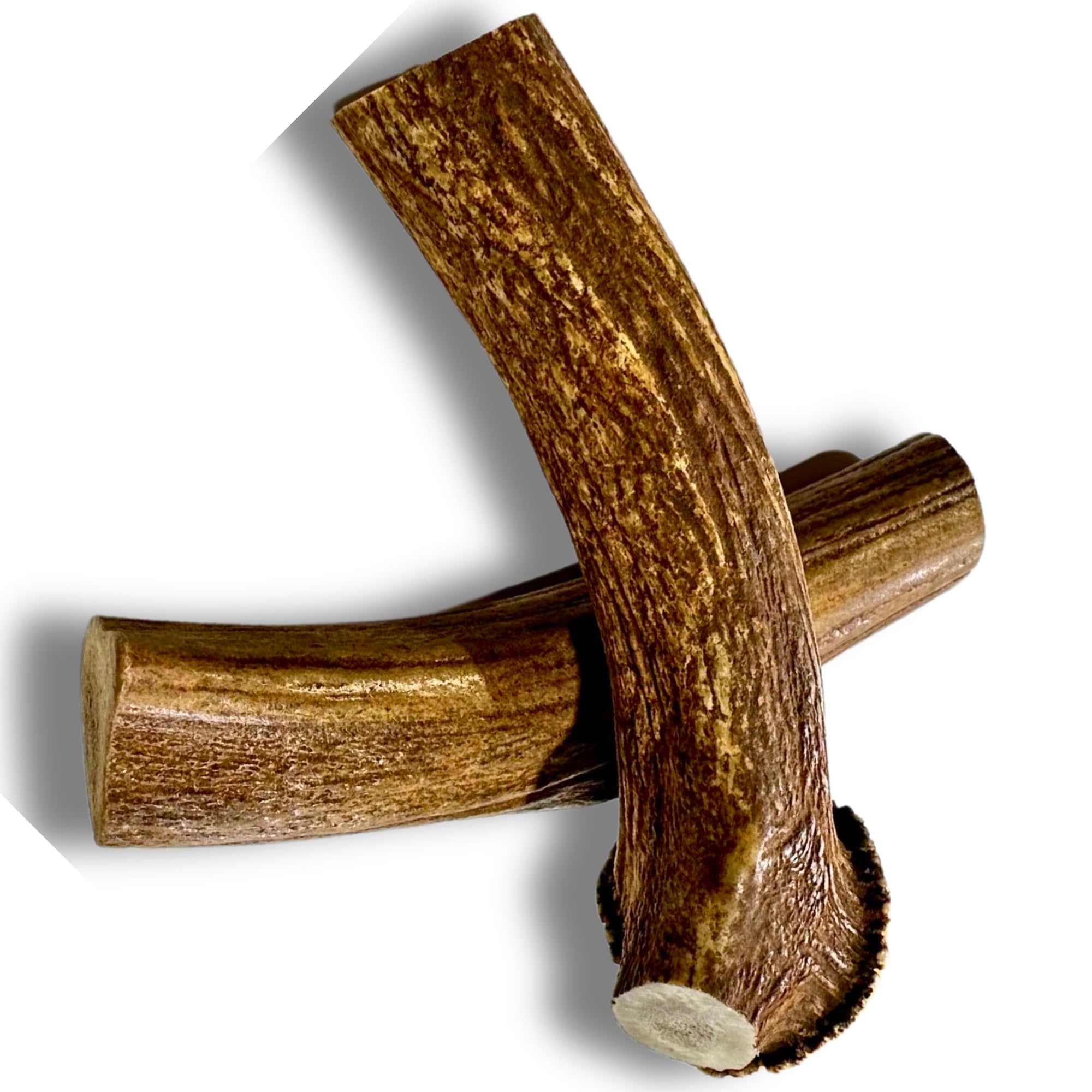 WhiteTail Naturals - Deer Antlers for Large Dogs (2 Pack- Jumbo XXL) All Natural Antler Dog Chew - Naturally Shed, Long Lasting