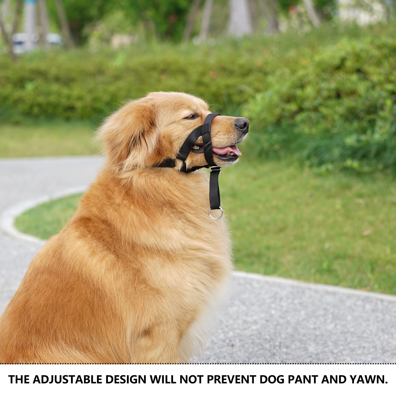 Wintchuk Dog Head Collar, Head Collar With Fabric Padded, Adjustable Training Tool Stop Dog'S Pulling (L, Black)