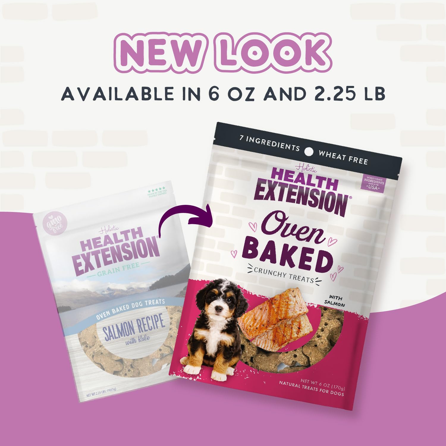 Health Extension Oven-Baked Dog Treats, 2.25lb (1.02kg), Salmon & Kale Recipe - Gluten & Grain-Free, Superfood-Infused, Crunchy