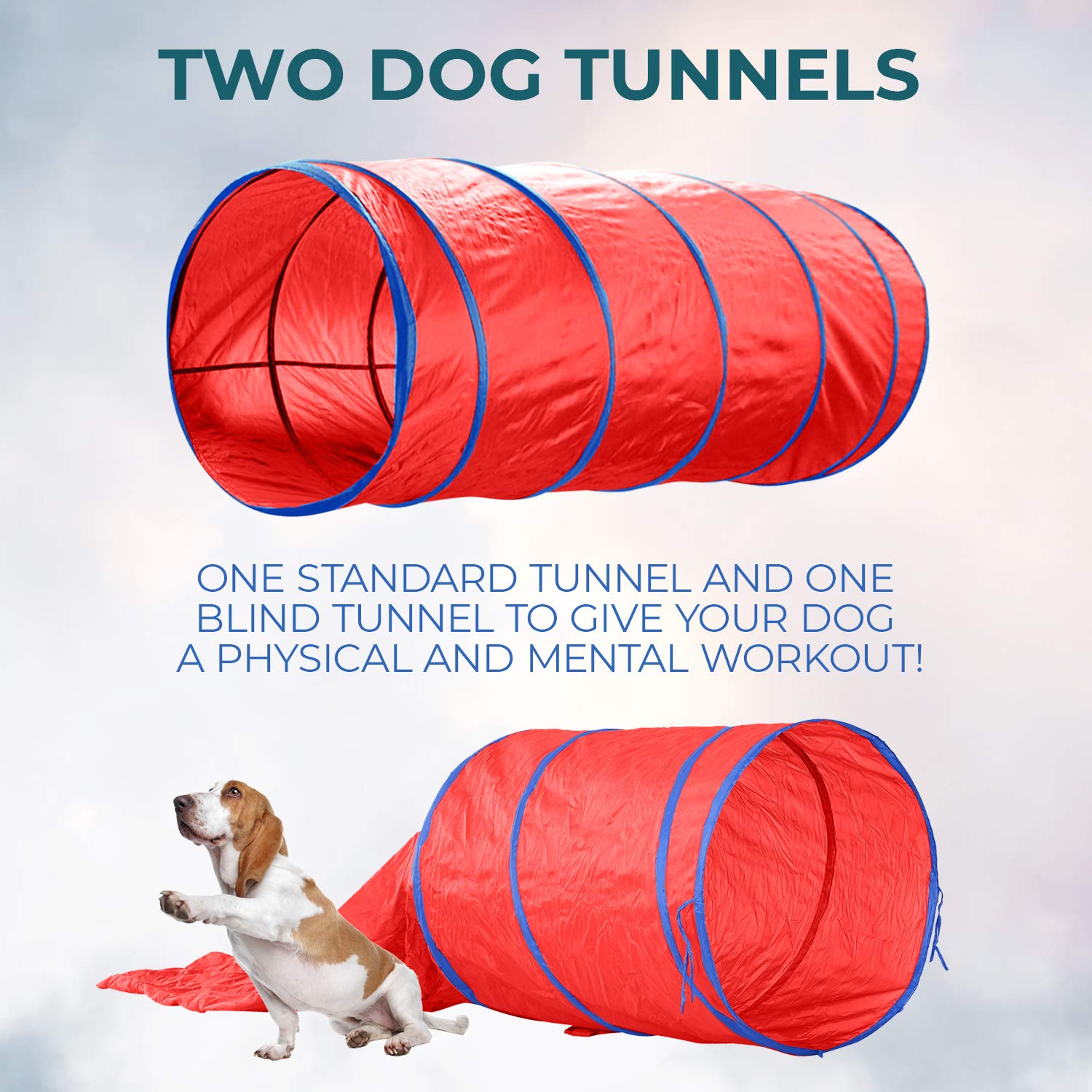 Cheering Pet Complete Deluxe Dog Agility Training Equipment Set, 2 Dog Jumps, Hurdle, Blind, 2 Standard Tunnels And 6 Weave Poles, Premium Dog Agility Exercise Set With Easy Fun Carry Case…