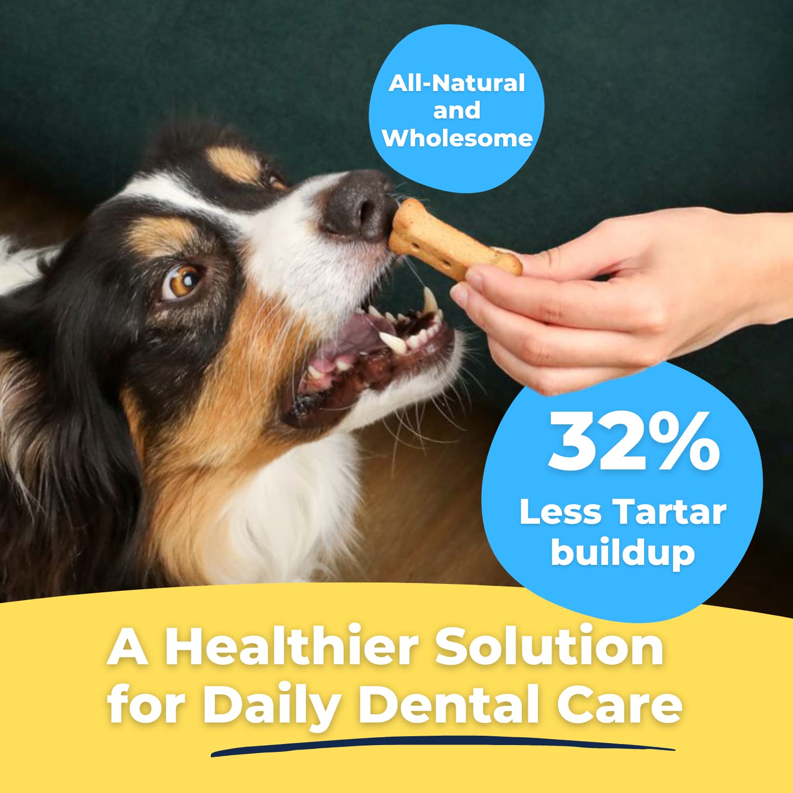 Tartar Shield Dental Dog Biscuits | Safe Daily Treats | Cookie Cleans Teeth & Gums Fresh Breath Natural Oral Health Support | Ta