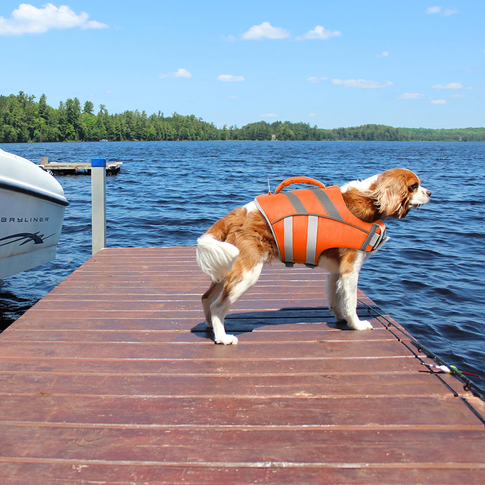 Kuoser Dog Life Jacket with Reflective Stripes, Adjustable High Visibility Dog Life Vest with High Flotation Swimsuit for Small