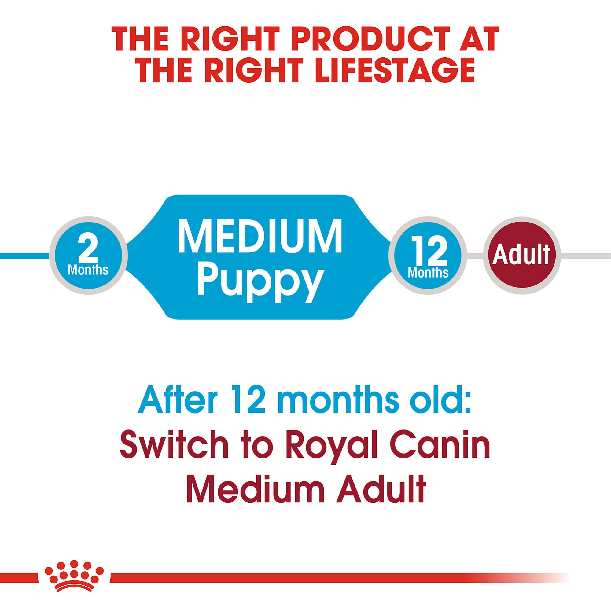 Royal Canin Size Health Nutrition Medium Breed Dry Puppy Food, Supports Brain Development, Immune Support and Digestive Health,