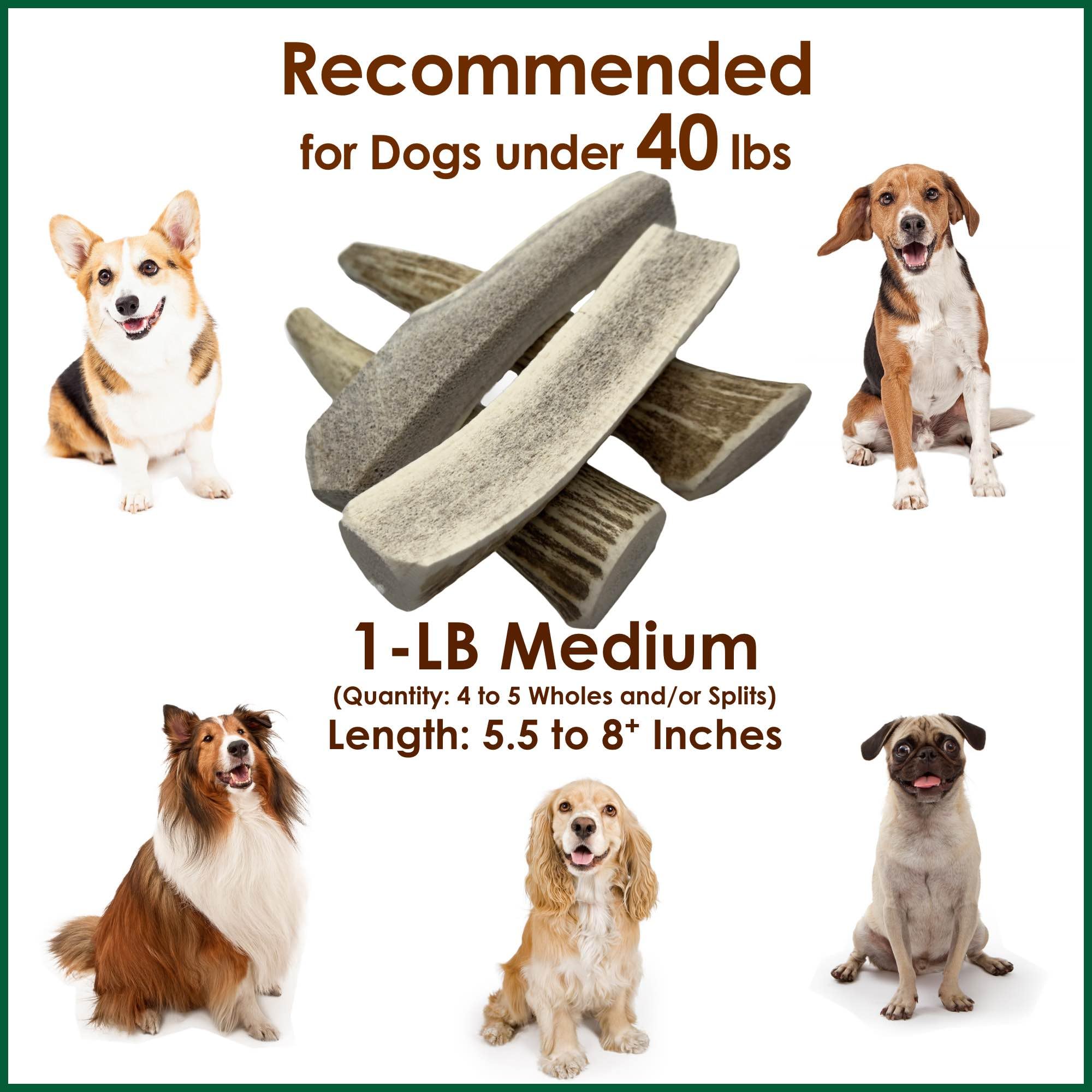 Deluxe Naturals 1-LB Medium Mixed Whole & Split Elk Antler Dog Chews (5.5-8+ in) - Long Lasting Natural Treats for Small to Medi