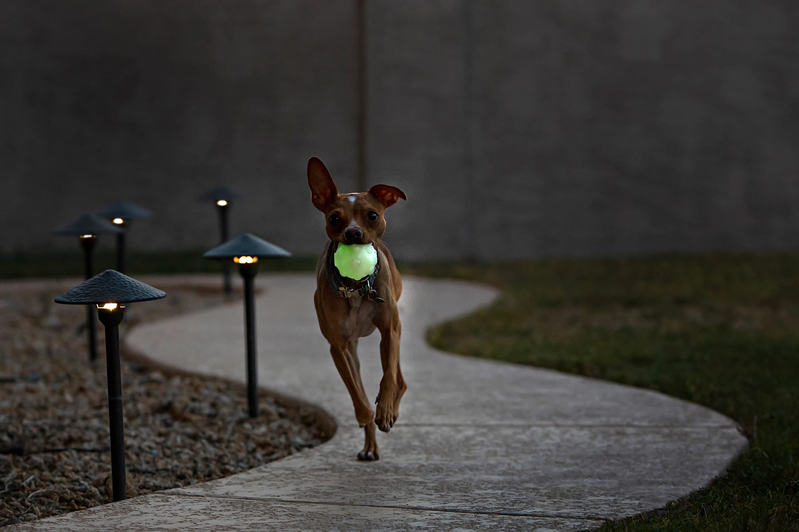 Jolly Pets Jolly Jumper Bouncing Dog Toy Ball, Large 4", Glow in the Dark, Rubber, Model JJ04 GLOW