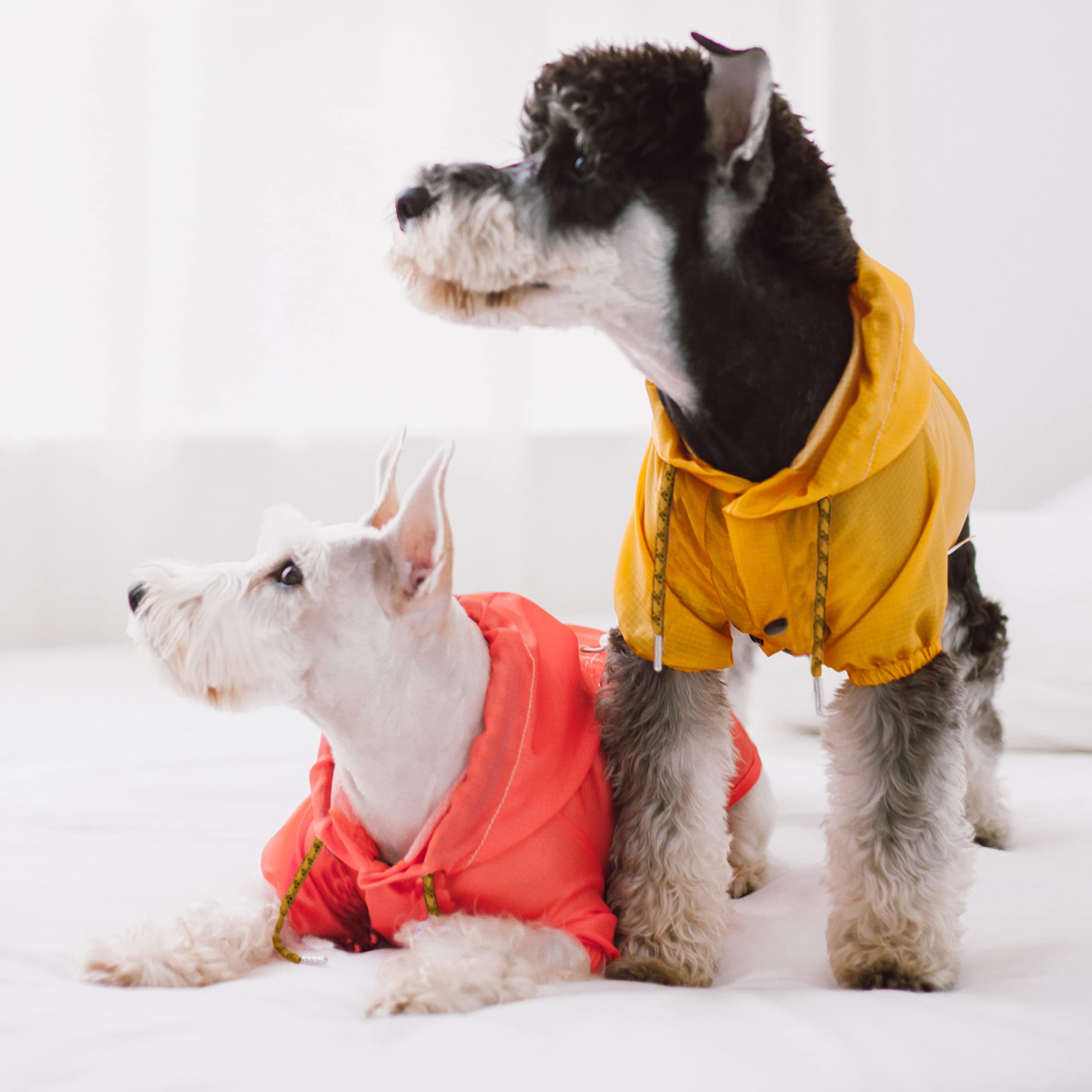 Touchdog 'Split-Vent' Lightweight Dog Raincoat Poncho - Waterproof Dog Coat With Adjustable Waist And Split-Vent - Pet Raincoat Or Outdoor Dog Jacket With Built-In Adjustable Hood