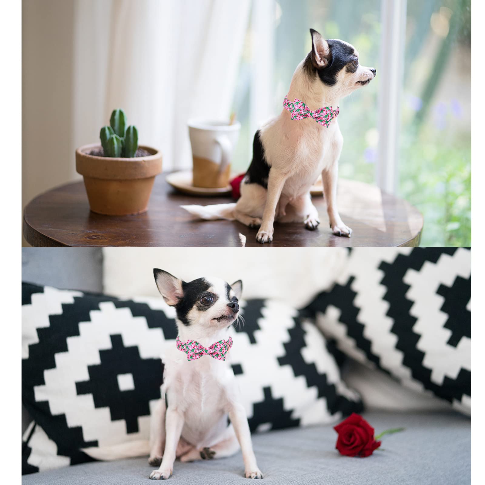 Unique Style Paws Dog Collar With Bowtie Pink Dinosaur & Heart Puppy Collar Suitable For Small Medium Large Dogs With Adjustable Safety Metal Buckle For Valentine'S Day-L