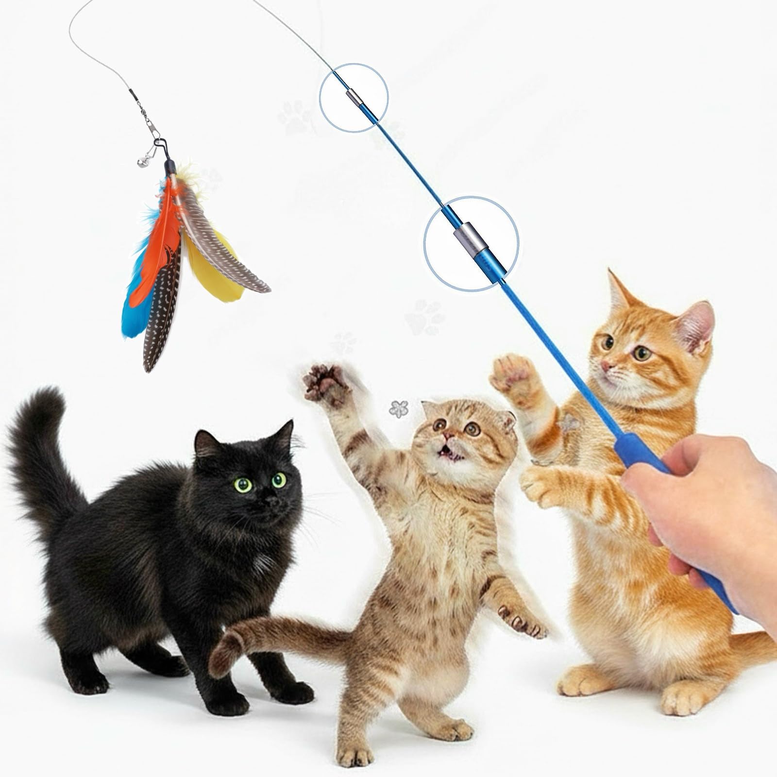 Sunkizzrs Interactive Feather Toy Set  Activity Toys For Kittens  Wand To Exercise Cats  Stick Toy For Indoor Cats (1 Retract